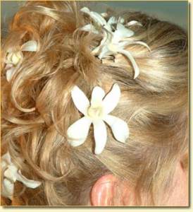 Wedding Hair